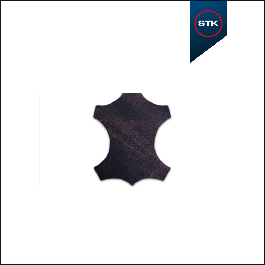 COURO STK FOSSIL NESCAU